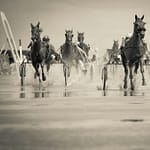 grayscale photo of group of horse with carriage running on body of water